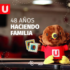 Oso de peluche